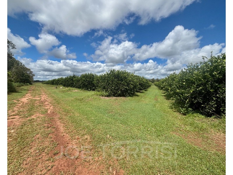 171 Shanty Creek Road, Mareeba QLD 4880