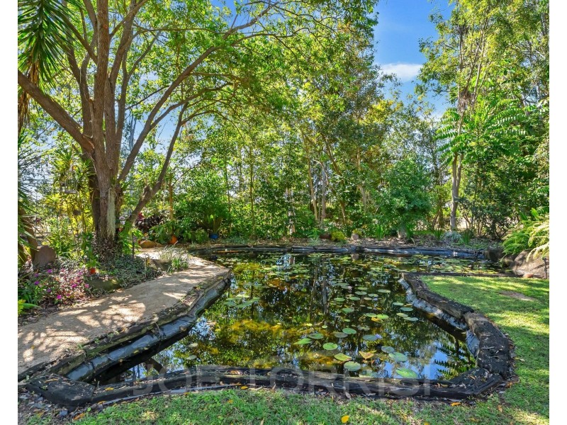 20 Norman Street, Mareeba QLD 4880