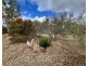 12 Powell Road, Mareeba QLD 4880
