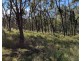 Lot 21, 6806 Mulligan Highway, Mount Carbine QLD 4871