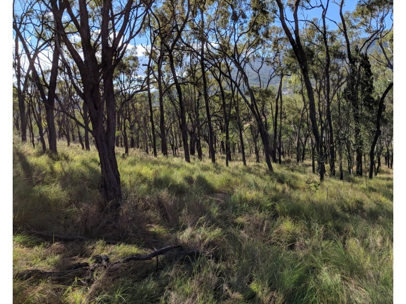 Lot 21, 6806 Mulligan Highway, Mount Carbine QLD 4871