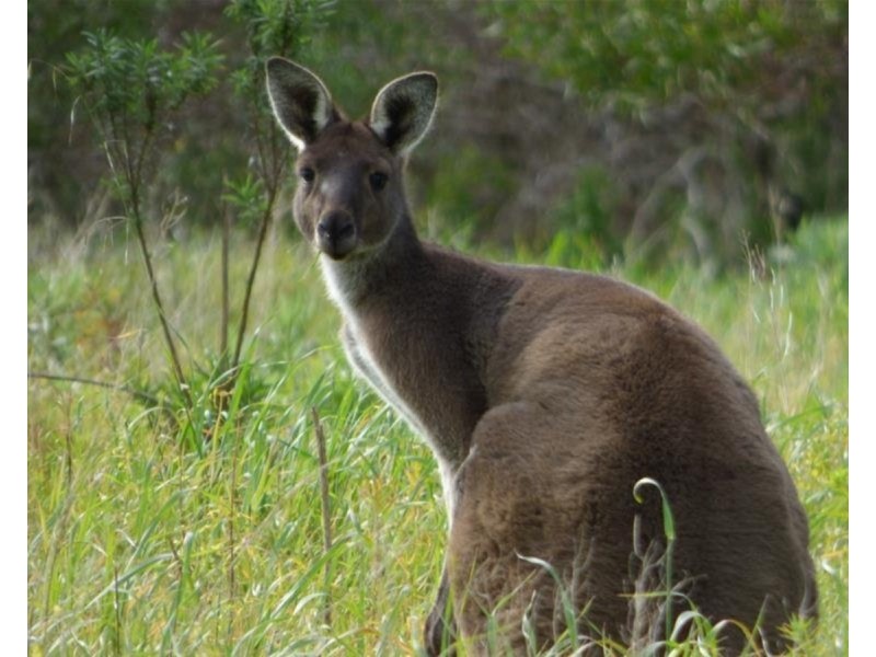 27 Happy Valley Road, Port Lincoln SA 5606