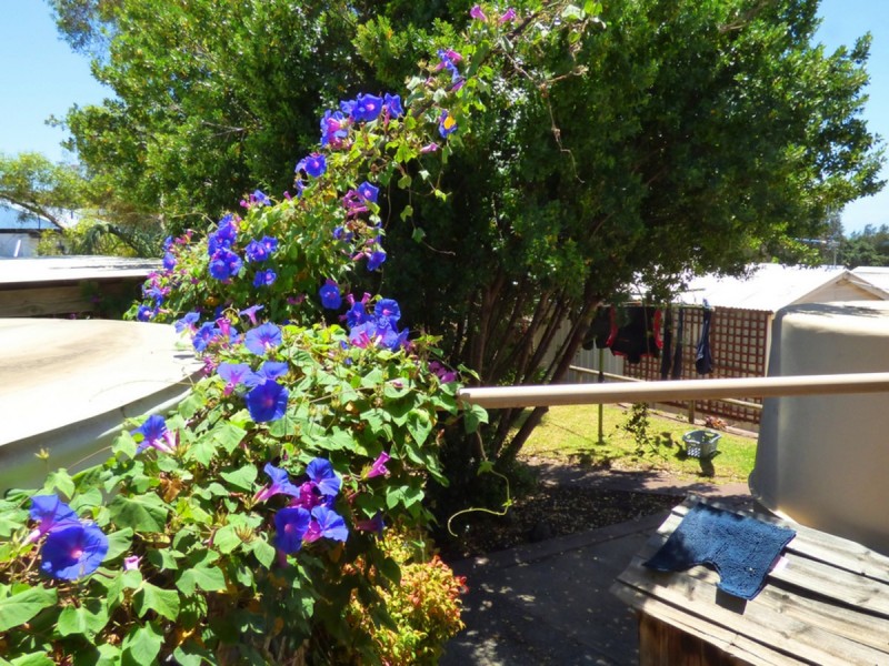 66 Normandy Place, Port Lincoln SA 5606