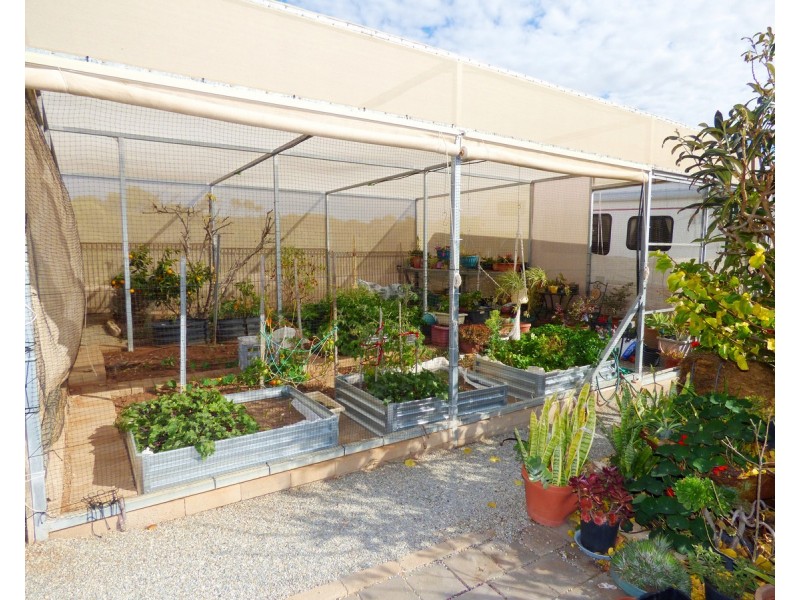25 Carrow Terrace, Port Neill SA 5604