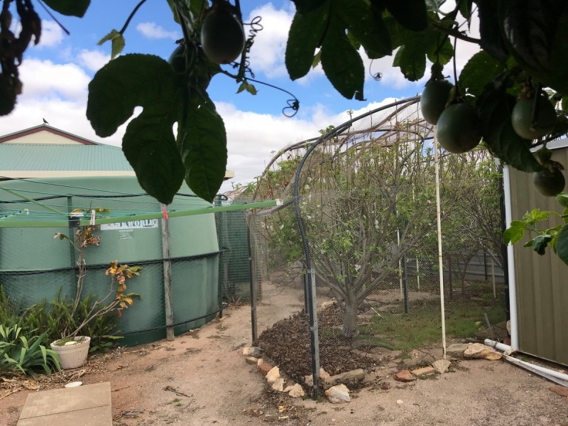 12 Lakin Crescent, Tumby Bay SA 5605