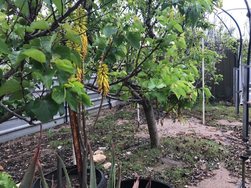 12 Lakin Crescent, Tumby Bay SA 5605