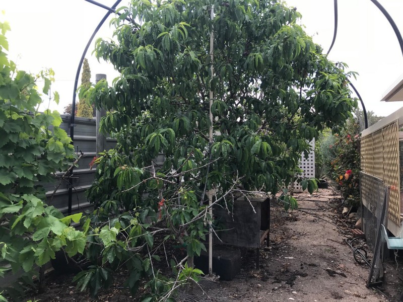 12 Lakin Crescent, Tumby Bay SA 5605