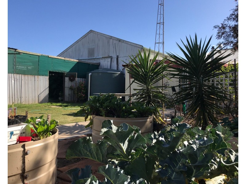 4 Lipson Road, Tumby Bay SA 5605