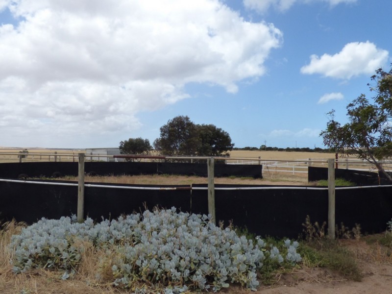 16 Bratten Way, Tumby Bay SA 5605