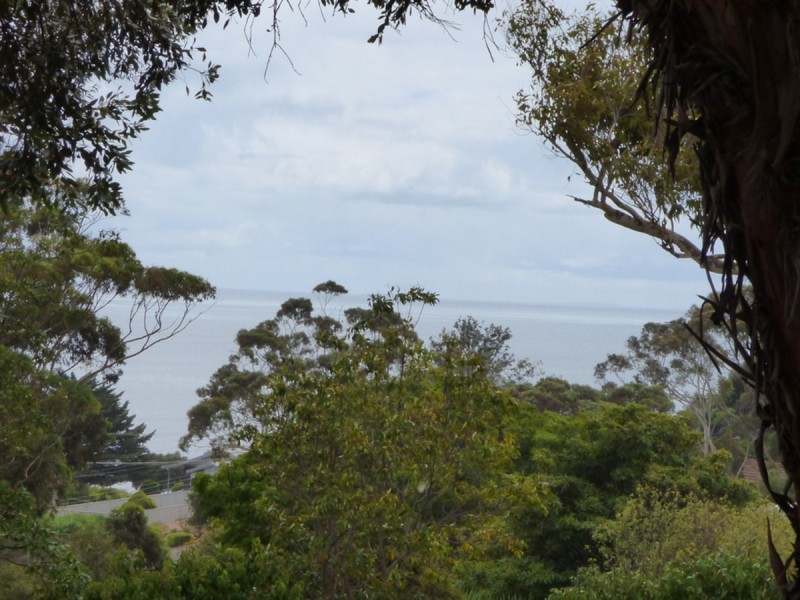 18 Miltalie Avenue, Port Lincoln SA 5606