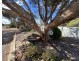 6 Chalmers Road, Port Neill SA 5604