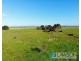 4495 Lincoln Highway, Tumby Bay SA 5605
