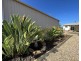 4 Gardner Avenue, Tumby Bay SA 5605