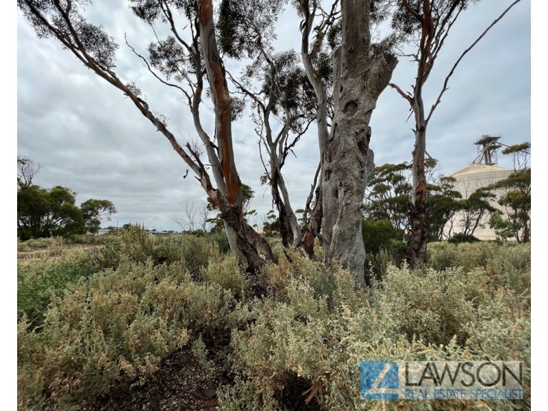 SEC 174 Story Road, Cowell SA 5602