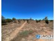 Lot 42, Nortons Road, Port Neill SA 5604