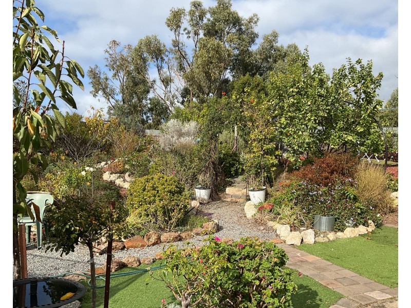 12 Blackman Place, Port Lincoln SA 5606