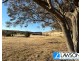 Lot 33 Lipson-Ungarra Road, Lipson SA 5607