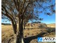 Lot 33 Lipson-Ungarra Road, Lipson SA 5607