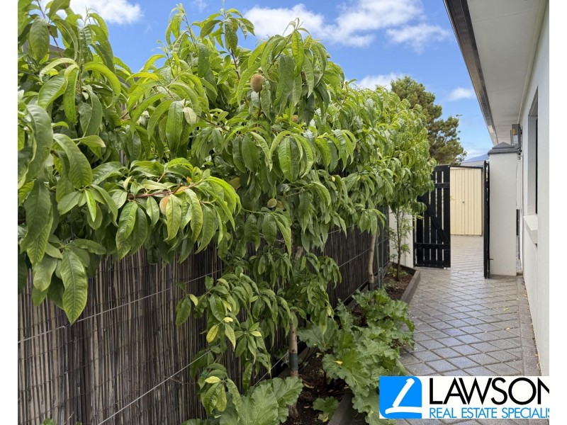 11 Viking Street, Tumby Bay SA 5605