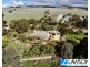 1385 Koppio Road, Koppio SA 5607