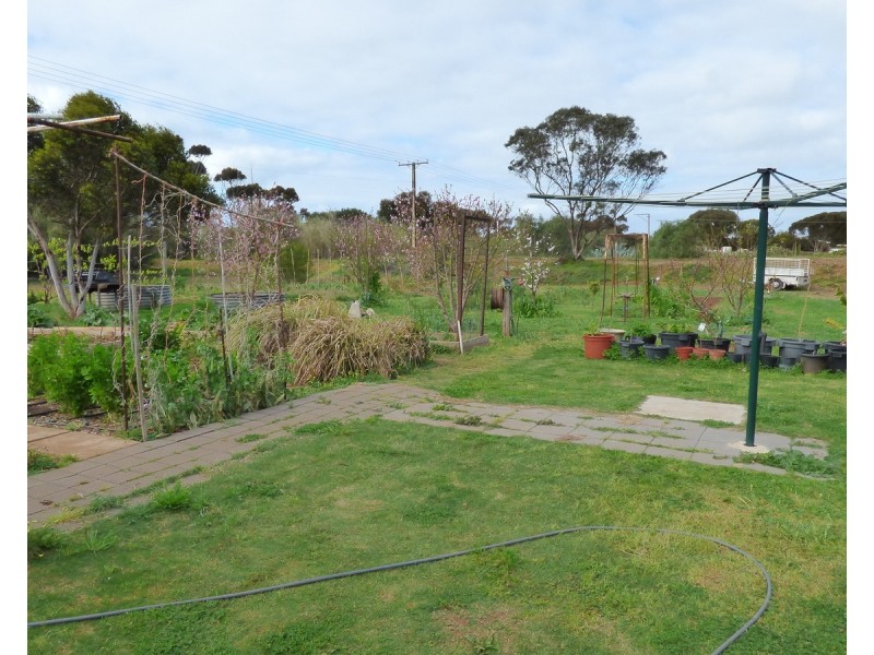 19 Main Street, Lipson SA 5607