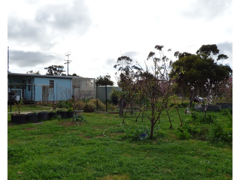 19 Main Street, Lipson SA 5607