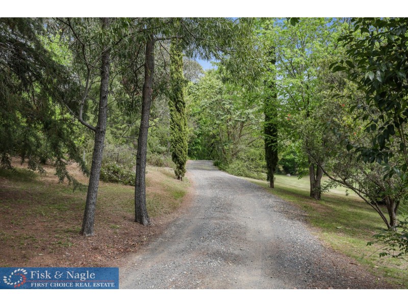 20 Tantawangalo Mountain Road, Candelo NSW 2550