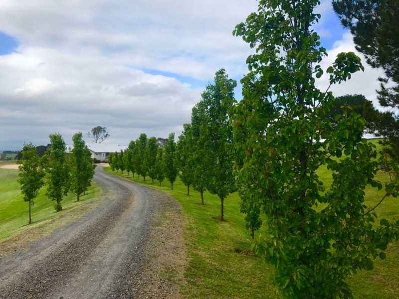 19 Ramseys Road, Candelo NSW 2550