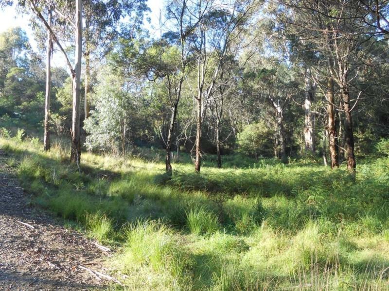 Lot 30,  Shumack Place, Wallagoot NSW 2550
