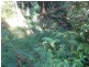 Lot 30,  Shumack Place, Wallagoot NSW 2550