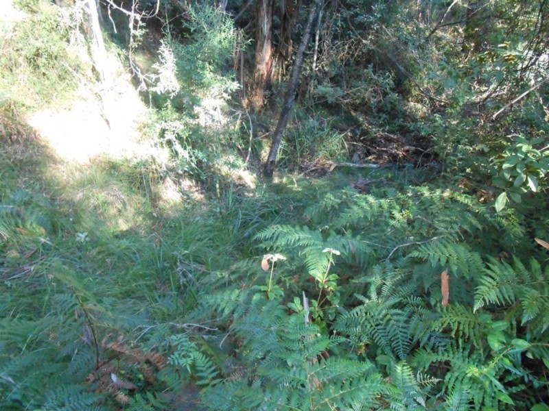 Lot 30,  Shumack Place, Wallagoot NSW 2550