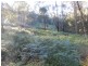 Lot 30,  Shumack Place, Wallagoot NSW 2550
