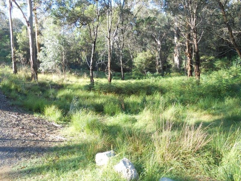 Lot 30,  Shumack Place, Wallagoot NSW 2550