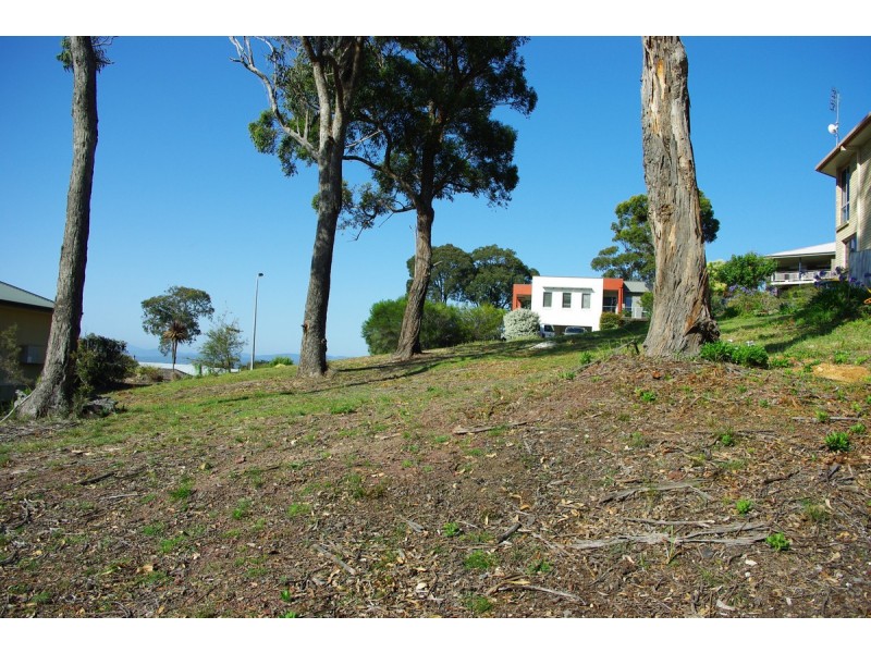 206 Mirador Drive, Mirador NSW 2548