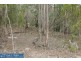 Lot 102,  Princes Highway, Pambula NSW 2549