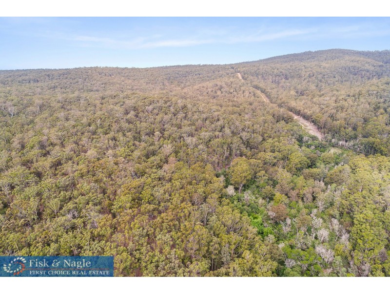 Lot 102,  Princes Highway, Pambula NSW 2549