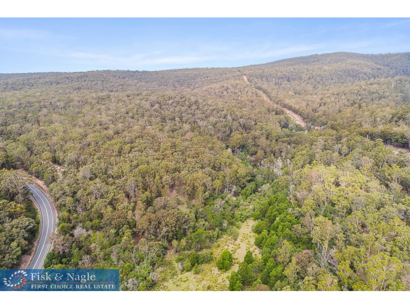 Lot 102,  Princes Highway, Pambula NSW 2549