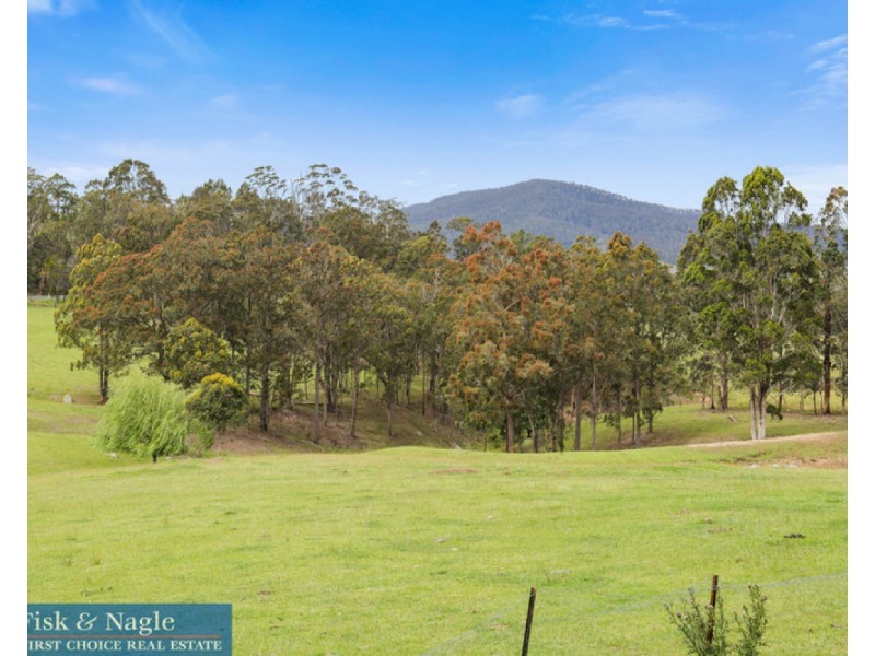 281 Myrtle Mountain Road, Wyndham NSW 2550