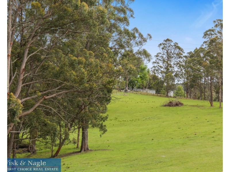281 Myrtle Mountain Road, Wyndham NSW 2550