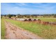 Edges Road, Allansford VIC 3277