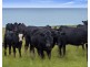 556 Hopkins Point Road, Warrnambool VIC 3280