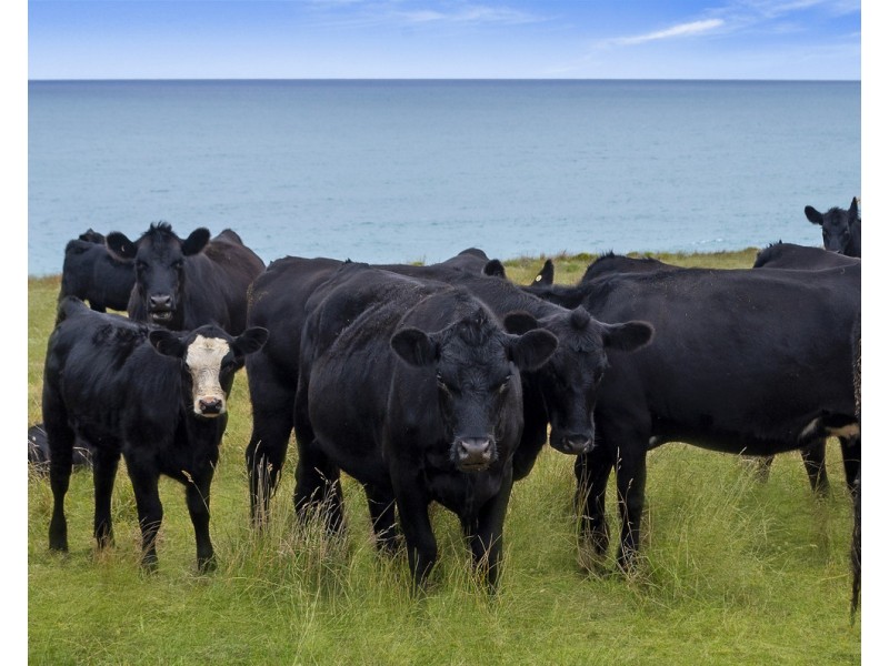 556 Hopkins Point Road, Warrnambool VIC 3280