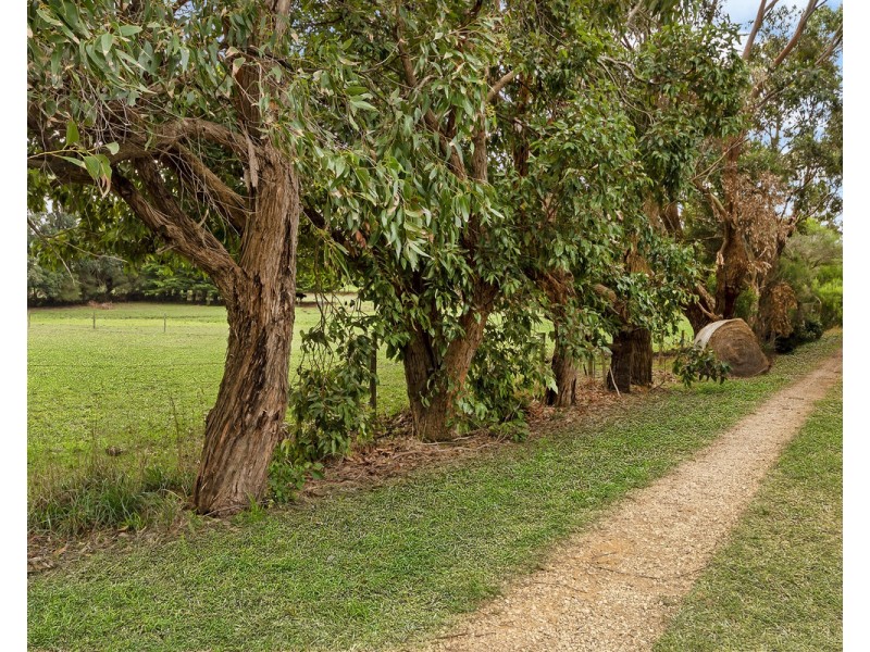 131 Carrolls Road, Allansford VIC 3277