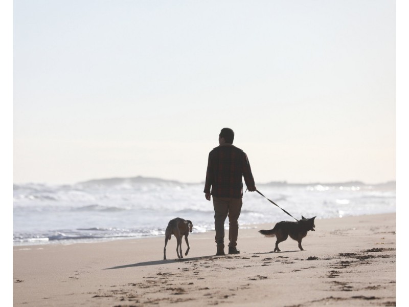 Lot 206,  Hopkins Heights, Warrnambool VIC 3280