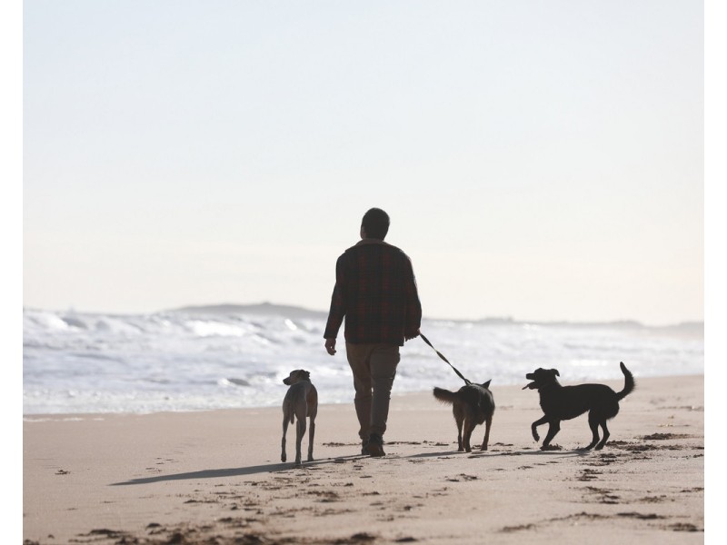 22 Pilkington Street, Warrnambool VIC 3280