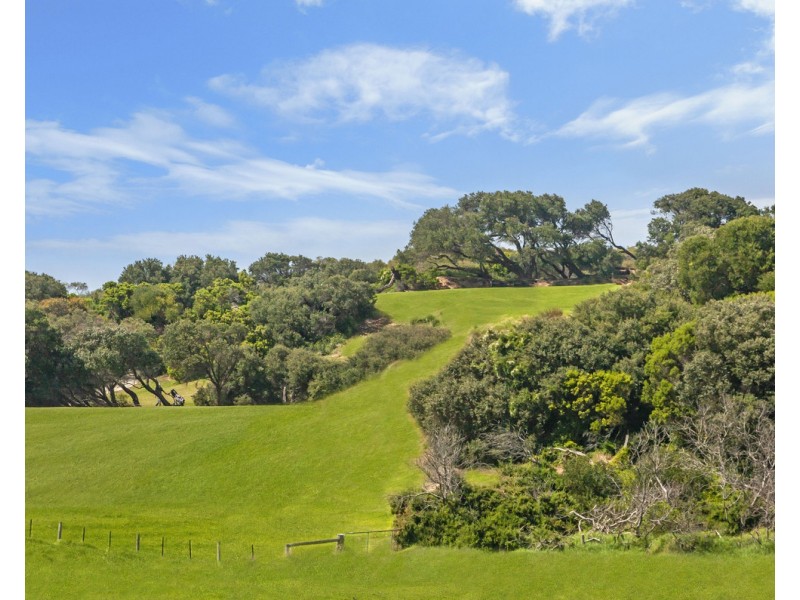 113 Younger Street, Warrnambool VIC 3280