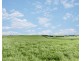 695 Princes Highway, Illowa VIC 3282