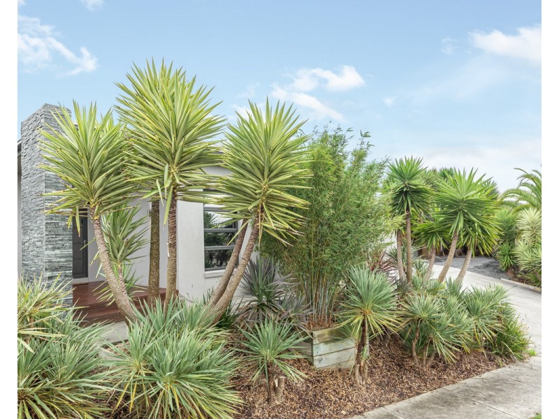 31 Cherlin Drive, Warrnambool VIC 3280