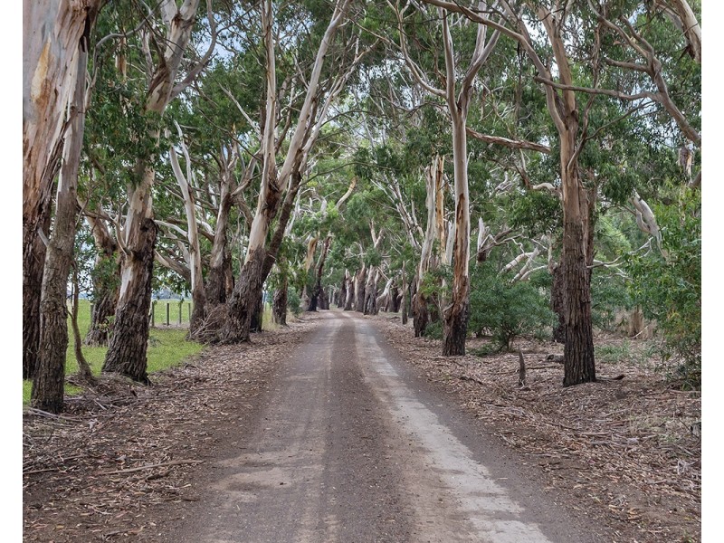 101 Shady Lane, Mailors Flat VIC 3275