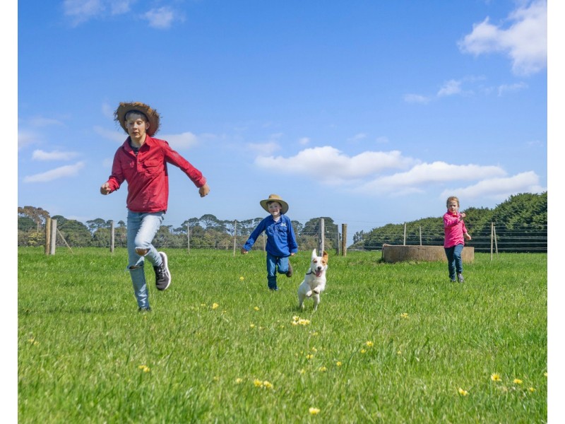 McKenzies Road, Bushfield VIC 3281